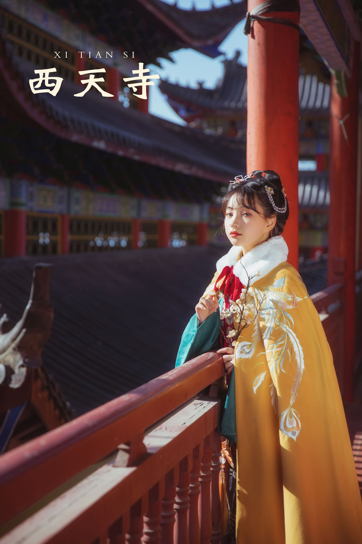 cover.jpg